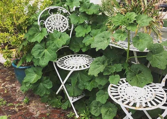 Het Vogeltje Harderwijk