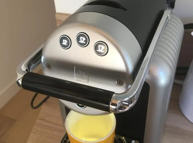 Het Vogeltje Apartment *