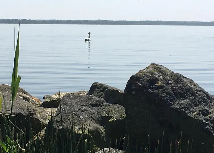 Het Vogeltje Apartment Harderwijk