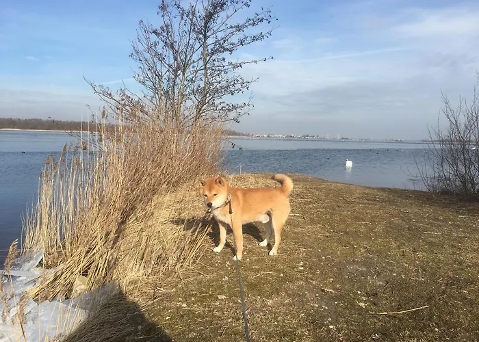 Het Vogeltje Apartment *