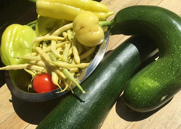 Apartment Het Vogeltje