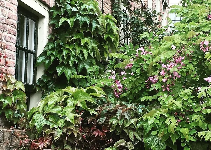 Apartment Het Vogeltje