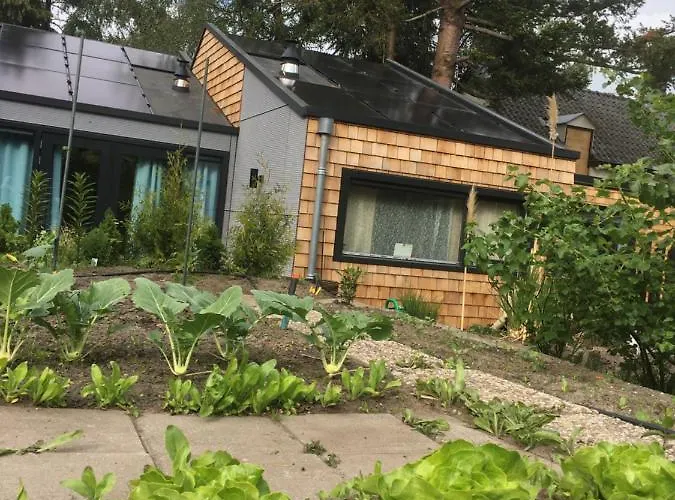 Het Vogeltje Apartment Harderwijk