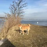 Het Vogeltje Appartement *