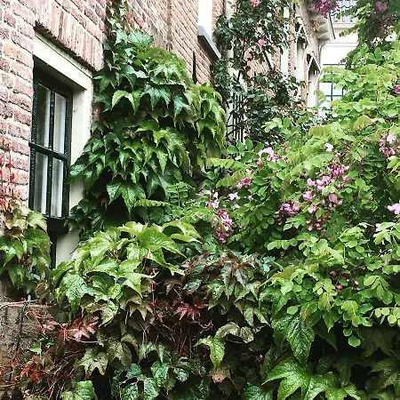 Appartement Het Vogeltje
